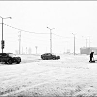 Опять снегопад.... :: Александр Шимохин