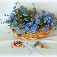 Любимые цветочки. :: nadyasilyuk Вознюк