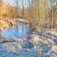 Запахло Весною :: олег свирский 