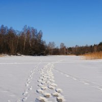 О минувшей зиме. :: Милешкин Владимир Алексеевич 