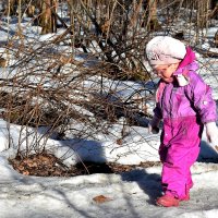 Осенний лист сорвал урок природоведеия. :: Татьяна Помогалова