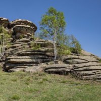 Останцы в предгорье Алтая :: Виктор Четошников