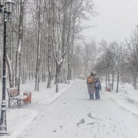 Сегодня в Дмитров вернулась зима. :: Анатолий. Chesnavik.