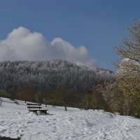 апрельский снег :: Татьяна 