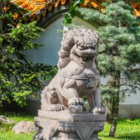 Сторожевой китайский лев Ши-Цза на Литейном проспекте :: Стальбаум Юрий 