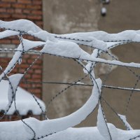 Москва, 03.04.2022г. :: Александр Степовой 