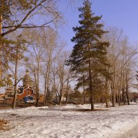 Солнечный день в апреле. :: Мила Бовкун