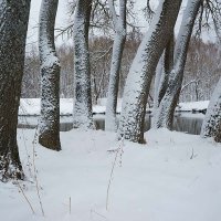 Снегопад в апреле :: Сергей Курников