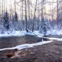 * :: Алексей Герасимов