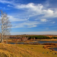 Про осень, На пруду в Ларино :: TAD TAD