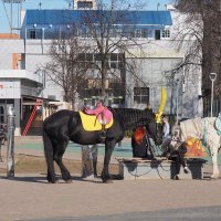 Ожидание в солнечный день :: Василий Петрович .