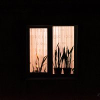Ночное окно :: Равиль Исмаилов