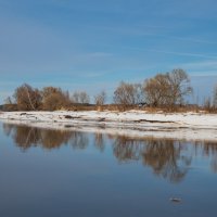 Весна на реке Дубне. :: Виктор Евстратов