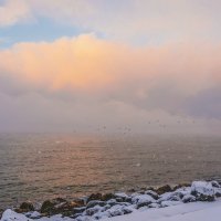 Снежный рассвет на море :: Сергей Сабешкин