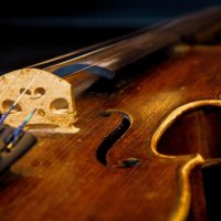 Скрипка — эликсир для души и сердца! :: Кристина Битосова