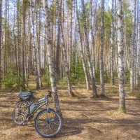 Первая поездка в лес :: Сергей Цветков