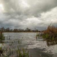 Низкий старт :: Николай Гирш