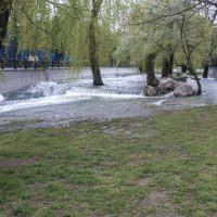 Весенний Салгир :: Валентин Семчишин