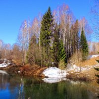 Дендропарк :: Татаурова Лариса 