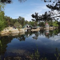 Городской парк :: Василий Дворецкий