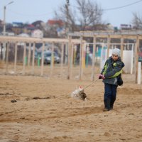 Крутилка :: Сергей Скорик