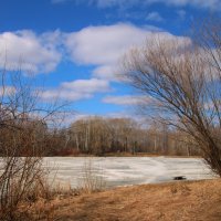 Весна на озере :: владимир тимошенко 