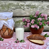 Молоко,горбушка хлеба) хорошо в деревне летом! :: Альбина 