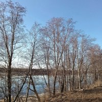 Невские берега в апреле :: Фотогруппа Весна-Вера,Саша,Натан
