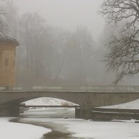Зимний туман :: Елена 