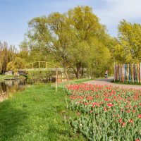 А в парках городских весенняя пора :: Игорь Сарапулов