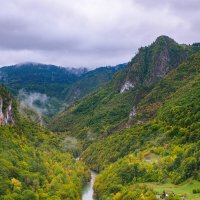 Каньон Тара в Черногории :: Alex Molodetsky