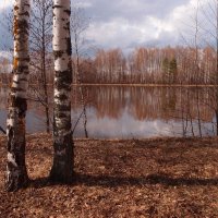 На реке :: Андрей Зайцев