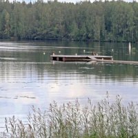 Озеро :: Вера Щукина