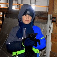 На ферме с чёрным котёнком :: Татьяна Лютаева