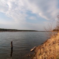 Утром на озере. :: Вадим Басов