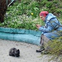 Уединились под звон колоколов. :: Татьяна Помогалова