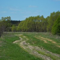 На околице деревни :: Александр Буянов