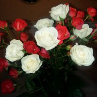 Вдыхая розы аромат.... :: tatyana 
