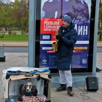 Уличная сценка :: Светлана 