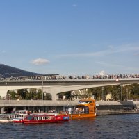 Парящий мост в парке Зарядье. :: Alexandr Gunin