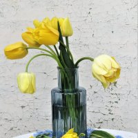 с желтыми тюльпанами :: НАТАЛЬЯ 