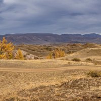 Отроги Курайского хребта :: Виктор Четошников