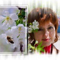 Весна :: Людмила Нехаева