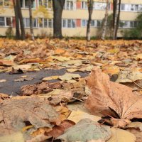 Осень в городе :: Михаил Лесин