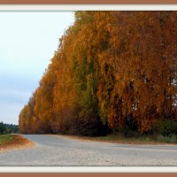 Золото русской осени :: wert wert