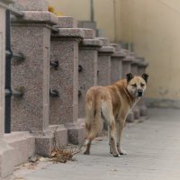 одиночество :: равил митюков