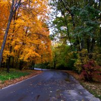 Софиевский парк. Умань :: Анна Бойнегри