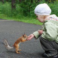 орешек ! :: евгений Смоленцев