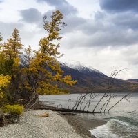 Вот такой был шторм по дороге :: Вадим Лячиков