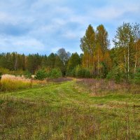 Тихоновка :: Ард Прохоров